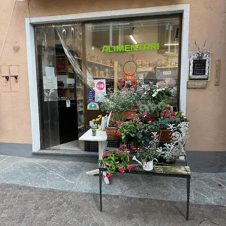 Lägenhet Maggiore- Casa Roccia-ferienwohnung In Pino Sulla Sponda Pino Lago Maggiore